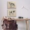 Stupell Industries Beige Holstein Cow Portrait 2 pc Canvas Wall Art Set Design by June Erica Vess